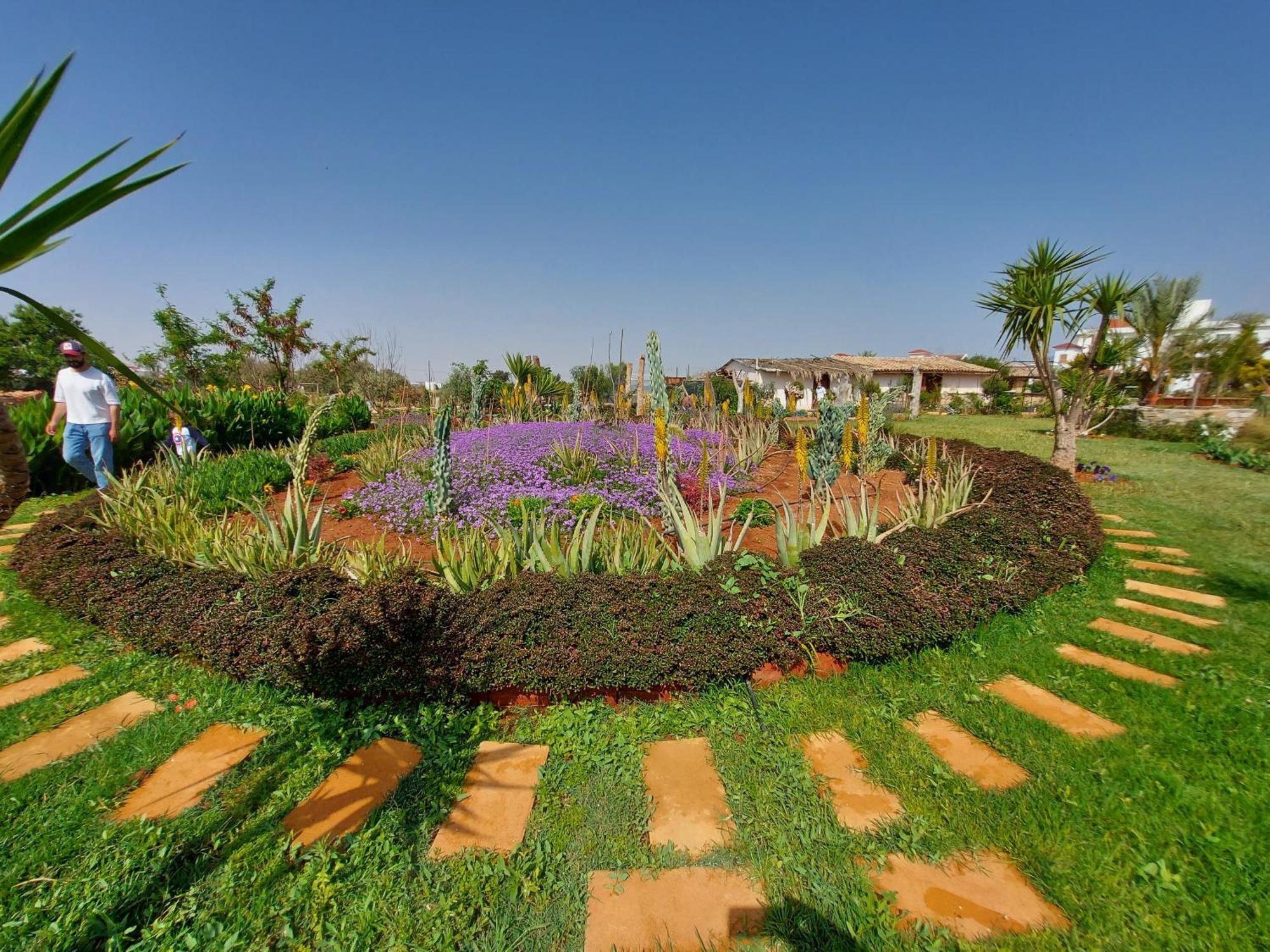 Apartment Osman Aga Culture House Famagusta (Northern Cyprus)